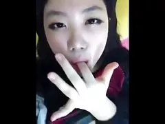 她胖的老猫钉由两只公鸡