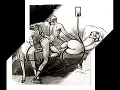 妻子与 s 猫暨覆盖。